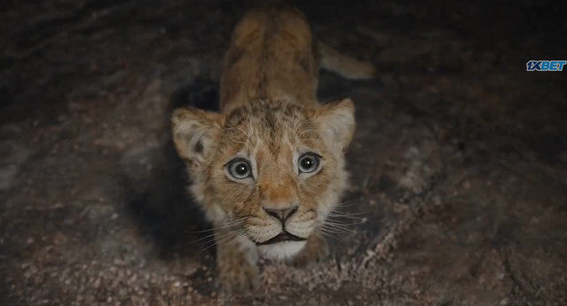 Mufasa-the-lion-king-2024-720p-hdrip-Desire-Movies-Help-mkv-snapshot-00-07-28-595