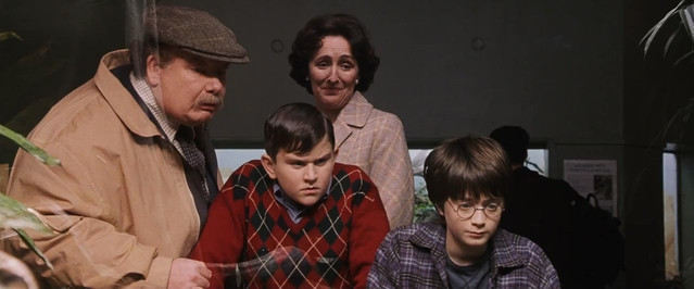 Harry-potter-and-the-sorcerer-s-stone-2001-ex-cut-720p-BR-Desire-Movies-MY-mkv-snapshot-00-06-10-642